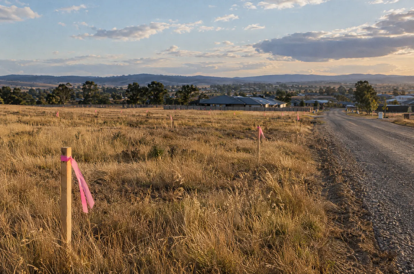 Survey pegs in a dry paddock at the edge of town. Placeholder.